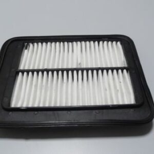 DKMAX Air Filter suitable for Santro LPG