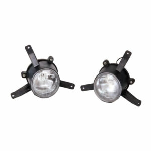 Auto Gold Fog Lamp Assembly suitable for Indica